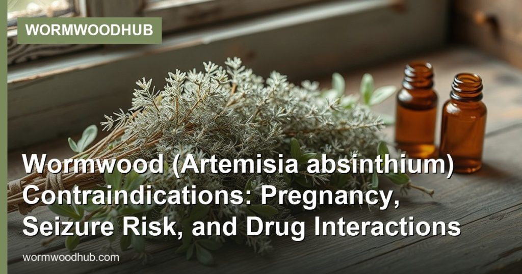 Wormwood (Artemisia absinthium) Contraindications: Pregnancy, Seizure Risk, and Drug Interactions - WormwoodHub