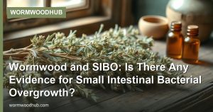Wormwood and SIBO: Is There Any Evidence for Small Intestinal Bacterial Overgrowth?